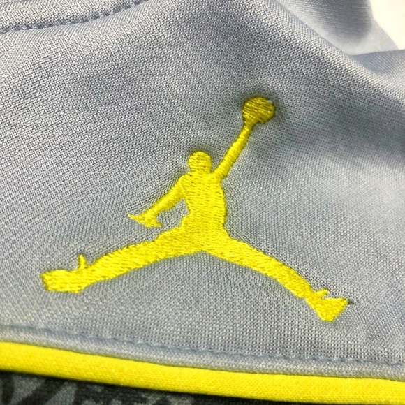 Nike Air Jordan Elephant Print Volt/Grey Hoodie - Picture 5 of 8